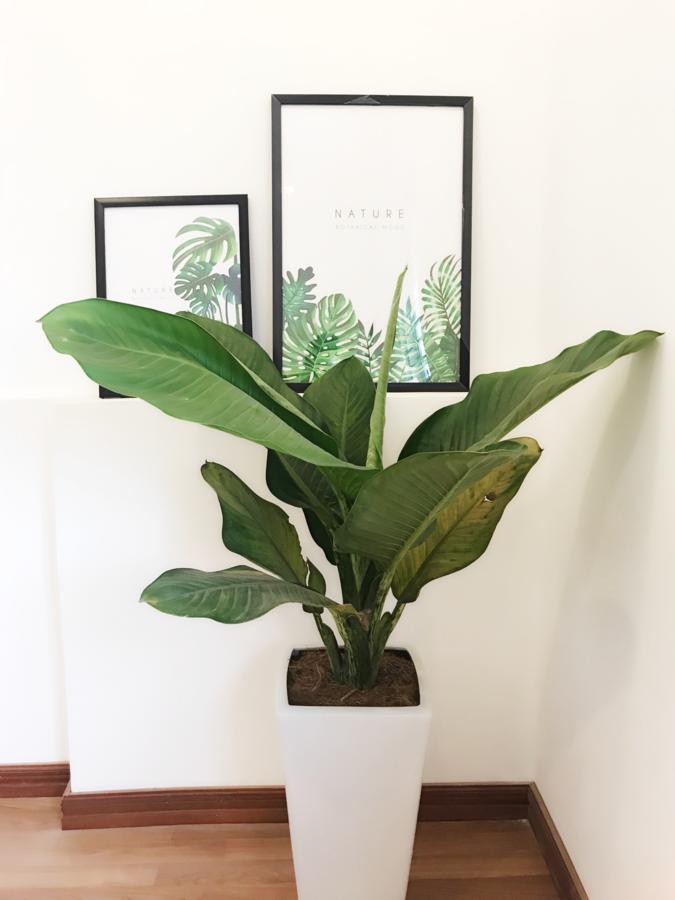 Apartament Michi House 3 Hanoi Zewnętrze zdjęcie